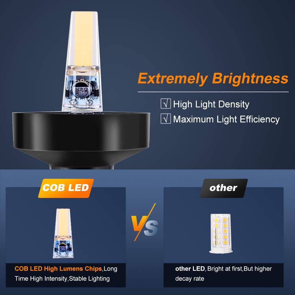 360-Grad Weiße LED Klappbare H – Fishing Boat Anchor Bewertung und Preis